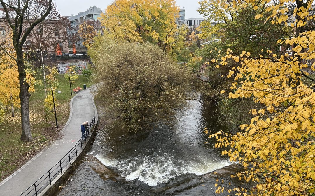 Oslo: Bekker, elver og bymiljø