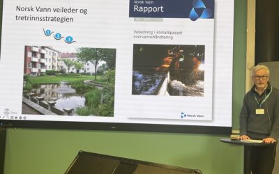 Fra Bærekraft i vannbransjen – overvann: Det går fremover!