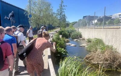 Åpen faglunsj: Overvannshåndtering i anleggsfasen