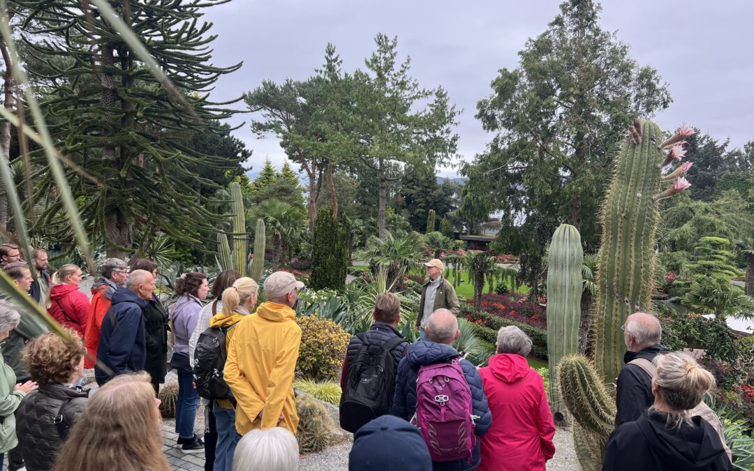 Sirkulærdisponering på palmeøya: Vi bare gjør det!