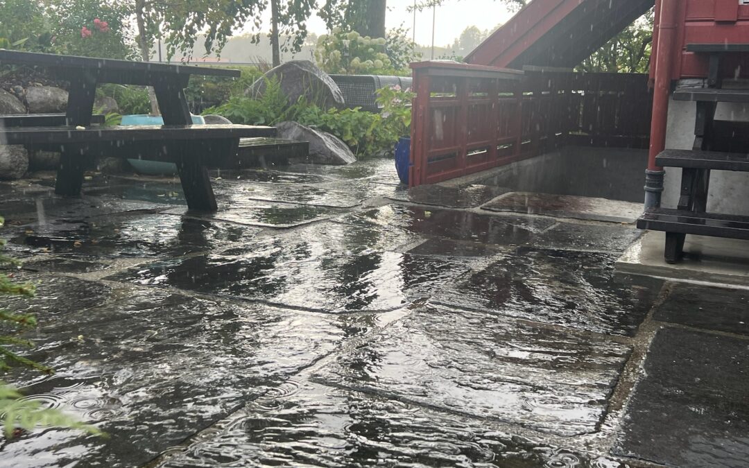 Norske boliger trues av dårlig drenering