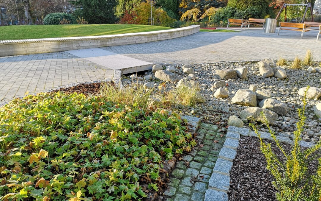 Naturbasert overvannshåndtering – erfaringer fra 2016