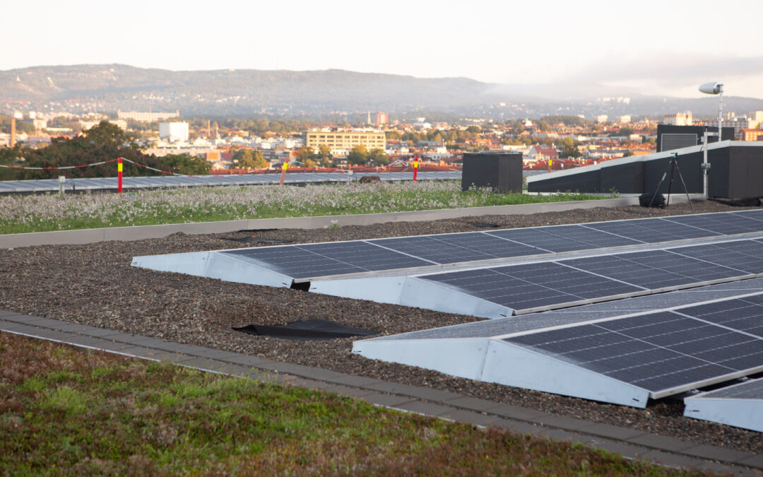 Nytter takvannet på nye Tøyenbadet